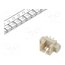 125SH-B-02-TS-SMT-T/R Connector: wire-board; socket; male; PIN: 2; 1A; 250V; vertical; SMT FyIX6Y5Dxp080HSpyrc2UE17AfwitplBpFuom7JVXhw