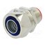 812.020.1 Straight terminal connector; HJ-10,HJ-I-08,TJ-10; brass; IP40 0rz3PDv7TWHAt4DpRlipsf5AD5RLr6nd7C-eyfaWtRs
