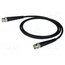 CT2942-250 Test lead; BNC plug,both sides; Len: 2.5m; black; Z: 50Ω; RG58CU 3EyZhNRPAE_7yKQf4ISVluGL8sIGosKAJJ48AyNMcNM