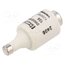 DIIGG50V10 Fuse: fuse; 10A; 500VAC; 500VDC; gG; industrial; DII RtkpVw8KLU7Jf6keRLINFClvcL1BbO5vnPTrva2mFC8