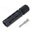 381166810 Connector: solar; plug; male; EPIC® SOLAR 4 GEN2; 50A; 1.5kV; IP68 5SRYj6iYvmLGzAknDgzTJy9Un9L_0oVBTFigu-Tpe0w
