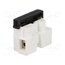 BM 971CS Connector: terminal block; 450V; with wire protector; white CCfWz1GKSd4TJk6KNb-WT4eeaS2v8qheIKVI6WJs3GM