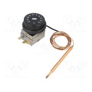 C702003235N Sensor: thermostat with capillary; SPDT; 10A; 400VAC; ±4°C; BT HXfYB2WmiX3VwFMN0L0D-lUI_5bfJHujFem0-1uS6No