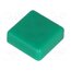 TACT-2BSGN Button; square; green; 12x12mm o_GZQyxUs8EZH0puTOyQcJnCp3vMEu3hOZWIvSAZHAQ
