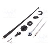 7667001 Antenna; car top,automotive; 0.36m; AM,FM; rubber mast,universal H2Pa6hEczAJ_reTCVobhUVOAMtDNFKiGVupkFJ_Jmmg