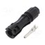 IS14240N Connector: solar; plug; male; IP67; for cable; crimped; 35A; 4÷6mm2 BSVvpB0veKA6QVqzNBNV1ixJ89ZRUFq1TcWyAeb-BbQ