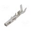 10134170-2220LF Contact; female; Minitek® Pwr 4.2; tinned; 24AWG÷18AWG; crimped 54uLd26GL6KzPoCERramhpwD4tZHFd4WsXr3I6wQm3M