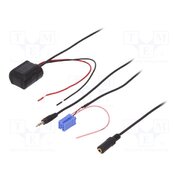 25001 Bluetooth adapter; Factory radio receiver: Blaupunkt TcqBznaXn3zGRsbrTnvFCvlPYikv8yc6uAcWTfhaTe8
