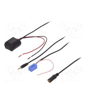 25001 Bluetooth adapter; Factory radio receiver: Blaupunkt TcqBznaXn3zGRsbrTnvFCvlPYikv8yc6uAcWTfhaTe8