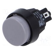 5000.0211 Switch: push-button; Pos: 2; SPST-NO; 2A/250VAC; 4A/250VAC; IP40 H9-aaPH0izuCLPaaPhvGXcUcFp05P7HTfKRv6Q7Mj4w