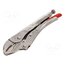 41 04 180 Pliers; Morse's,locking; 180mm 3OBKjVvTxBnRBQjxJwRX6L1DJgvgdbfvTEeWQvJCsm0