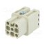 09210072732 Connector: HDC; contact insert; female; 10A; 250V; Han® D; PIN: 8 BcWP1FwLMK0tPzprrAj3I0VXGADFnDRe89PAGZLN17o