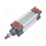 FMS032.0050.00 Profile cylinder; Piston diam: 12mm; Piston stroke: 50mm; 1÷10bar af8L-pMg3Q3oeCHjrVyppwpfbXGAUB0WzW7e_Cl-Qd0