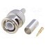 RF1-03-D-01-50 Connector: BNC; plug; male; straight; 50Ω; crimped; for cable; POM KvwuR9KNpjOZy8c0bj_FEjwThluQ7Zo5Kloq49Mp5g8