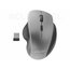 Wireless Mouse Gembird MUSW-6B-02-BG AKPEL07S.jpg