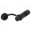 SA611/S3IIB Connector: circular; plug; female; PIN: 3; IP67; SA6; 3.5÷4mm; 3A; 30V 4gH36ccbzZ8YY9G4fPIB8o8RSr2kKrSX7kp6OTVxvSo