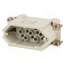 C14610A0150002 Connector: HDC; contact insert; male; 400V; PIN: 15; 15+PE; size A10 1rpMAIeYSB7UILwt3nM4y2IM_1alN5dDtWZb8RfxJHo