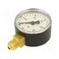 103-K Manometer; 0÷2.5bar; G 1/4",bottom connection; 50mm; plastic uZRRmnOQmWJstkPDkBYN7VCRMXJIvQ7efTyqQrtVnFI