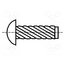B2.89X9.52/BN689 Screw rivet pin; A2 stainless steel; BN 689; Ø: 2.89mm; L: 9.52mm EbytRx6I8ipODWO42A05tUjW4s1XS6NaaurLx7i1kO4