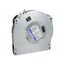 RLF100-11/12/2 Fan: DC; blower; 12VDC; 127x127x25mm; 41m3/h; ball; 5100rpm macW2-7UsK6s6IE2g58c_k7ImnsZv2yAeFAYPbvPWZw