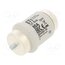 002314101 Fuse: fuse; 80A; 500VAC; 500VDC; quick blow; ceramic; DIV; D mm_GoCUd6PA2PVKWbZQ6yQ83azMnztMPHSM2Wn9N284