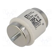 002315102 Fuse: fuse; 160A; 500VAC; 500VDC; quick blow; ceramic; DV; D Q8S4pJtlGTaDqSJ_gmOWHMacqruRtwaNe_BkcY3yUWU