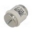 002315102 Fuse: fuse; 160A; 500VAC; 500VDC; quick blow; ceramic; DV; D Q8S4pJtlGTaDqSJ_gmOWHMacqruRtwaNe_BkcY3yUWU
