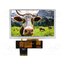 NHD-5.0-800480AF-ASXP Display: TFT; 5"; 800x480; Illumin: LED; Dim: 120.7x75.8x2.8mm; RGB r7a7KioUqqXEdrqDHpVKWdfwMW-3zmayhR6SMvyfiQU