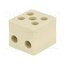 BM 9520 Connector: terminal block; 450V; hot condition; screw terminal x5lS0ywSSEwF32WXjYVWFs4o8KEAv9YGOVihInzMTxA