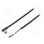 XS3F-LM8PVC3A2M Cable: for sensors/automation; M8; PIN: 3; angled; 2m; plug; 30VDC nPgXB44DfoinpwknGXjy5IxNwjhyCb8U1gCrY7zHwWg