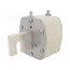 384515 Fuse: fuse; 500A; 690VAC; aM; ceramic; NH4 XpuXZlM3WOkgmxSlRCqtr-_-WRQNmQd639-7ZK8oolU