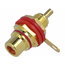 LIZDAS RCA korpusui raudonas CLI370R.jpg