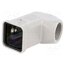 09200031643 Enclosure for connectors: HDC; size 3A; for cable; Han® A; PG11 1i17NZO5ETxv95xu_nTm7Tddl9dC4MH_c9NCUk5nRE4