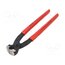 10 98 I220 Pliers; end,for ear clamp,stainless steel ties; 220mm ljK8MNmljiQJjRQx6Zm7Yh-cyQ94mMr5Rbb6VCqLRkU