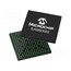 SAM9X60D6K-I/4GB IC: ARM microprocessor; ARM926; 1.02÷1.21VDC; SMD; TFBGA196; PWM: 4 tZy4uW5DE4gIuxqmOqp2rQxbO_f75MZC1J2yuL0G2S0