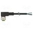 7000-12321-6330300 Cable: for sensors/automation; M12; PIN: 3; angled; 3m; plug; 250VDC OTlR8CNsQpWDN0etWH9UJNePhOVEL_E_xAK5aTmfZ70