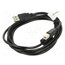 CA-USBA-11CC-0018-BK Cable; USB 2.0; USB A plug,USB B plug; gold-plated; 1.8m; black o00xrQ_pUAfaXSYErIK3HD4Hcm7GigN6iNlrgu4359I