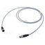 C21320000000075 Cable: for sensors/automation; M12; PIN: 4; M12 male,M12 female wvRAPYWmRzcS5jlVgXXJ5m5hstThoC9g17uZW7mL868