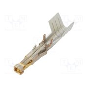 172063-0312 Contact; female; Mega-Fit; gold-plated; 12AWG; cut from reel; 23A tmcKr0uzU3bbu875EGMX8j4R24GivUZwmsPUMktqnj0