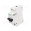 A9N18359 Circuit breaker; 230/400VAC; Inom: 125A; Poles: 1; Charact: C; 10kA MXE33qWQUjgiT9lhgvncDukFpA_GJWQWmIZsAZ2rmdk