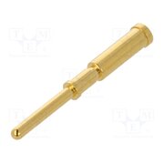 21011009923 Contact; male; gold-plated; 0.5mm2; crimped; M12 Power connectors 2lGUzLZ5L8x5Y1g9PYcdVY_UM2wi55VQmNsC6xA5vmw