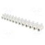 88166825 Connector: terminal block; 450V; screw terminal; Contacts: steel 7k5XzpCdJ1dWoUSV0vQQUhZxxz_lQQ-qd0rQUQYPPo0