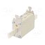 004139206 Fuse: fuse; 80A; 400VAC; quick blow; ceramic,industrial; NH1C RN19TglPLLOduqPy2TrQTuAP4YJZbcYIR7iywcQNOg8