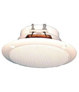GARSIAKALBIS  PJ   FR 10WP   4Ω, baltas, Visaton GAVSPFR10WP.jpg