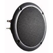 FULLRANGE SPEAKER FR 10WP 4Ω, black GAVSPFR10WPJ.jpg