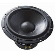 WOOFER TIW300 8Ω GAVSZTIW300.jpg