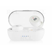 Wireless Bluetooth Earbuds BTE100 with Charging Box IAUBL04B.jpg