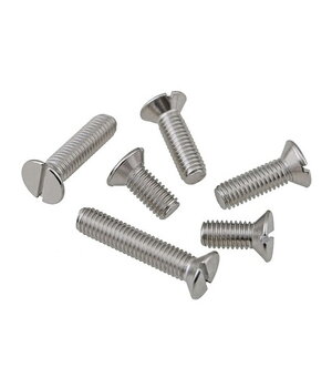 SCREW M2x5mm A4 DIN963 IT63MXXX.jpg