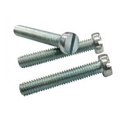 SCREWS M2x10mm DIN84A, ISO1207 IT84Mxx.jpg