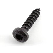 SPEAKER SCREWS TORX 4x20mm set 20pcs IVR4020L.jpg